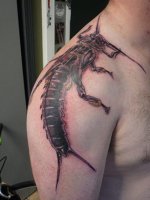 stone-fly-tattoo.jpg