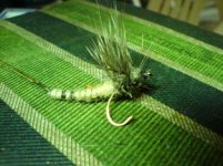 DSC00058.JPG