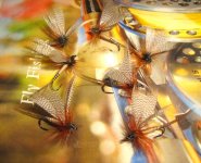 Mayflies by STRELAC.jpg