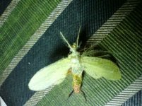 DSC00102.JPG