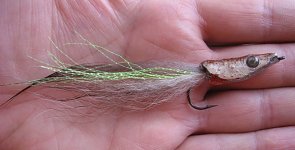 small pike1.jpg