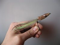 small pike2.jpg