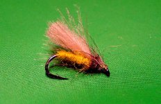 yellow cdc caddis.JPG