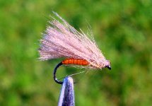 orandz caddis.JPG