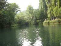 IMG_3372.JPG