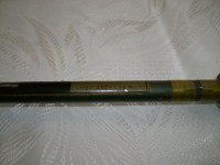 ALIM0829.jpg