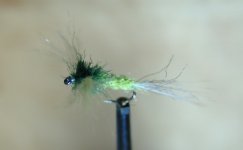 DSC06953.JPG