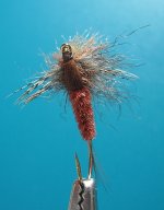 Zacoola Ecdyonurus odozdo.jpg