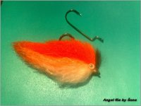 angel flie on wormhook.jpg