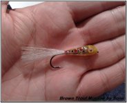 trout minnow.jpg