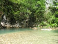 IMG_1854.jpg