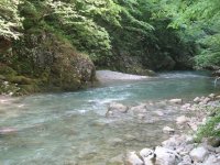 IMG_1856.jpg