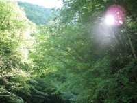 IMG_1860.jpg