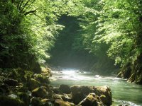 IMG_1886.jpg