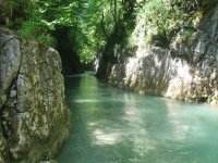 IMG_1898.jpg