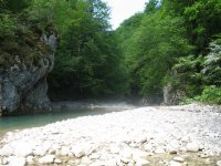 IMG_1904.jpg