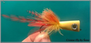 Creasy Fly.jpg