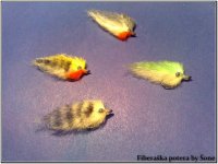 fiber potera.jpg