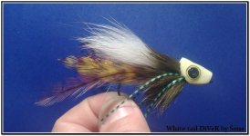 white tail diver.jpg