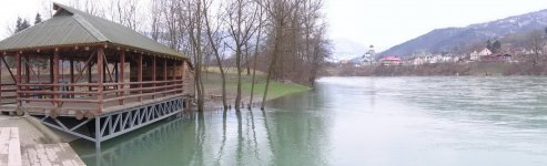 skoljka mala.jpg