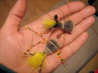 Bass bugs.jpg