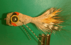 popper2.gif