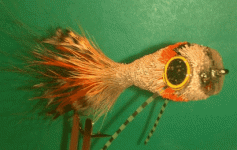 popper3.gif
