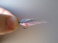 mini bullet.jpg
