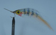 IMG_2649.jpg
