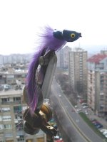 lavander-diver.jpg