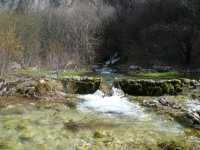 toponicka reka izvor.JPG