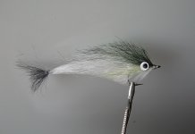 kederski rep.jpg