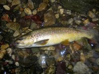 IMG_0156.JPG