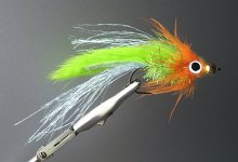 zander zonker.jpg