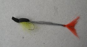 red tail gurgler.jpg