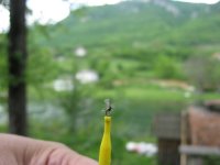 IMG_8114.jpg