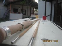moj stap od bambusa 001 (Medium).jpg