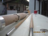 moj stap od bambusa 002 (Medium).jpg