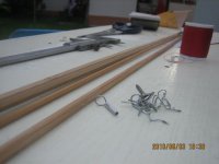 moj stap od bambusa 004 (Medium).jpg