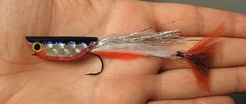 crease fly.jpg