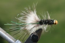 Woolly Bugger800.jpg