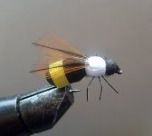 21556550.jpg