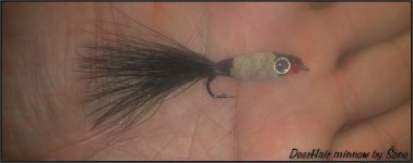 deerhair minnow.jpg