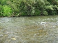 IMG_0006.JPG