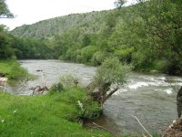 IMG_0007.JPG