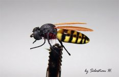 balsa abdomen wasp.jpg