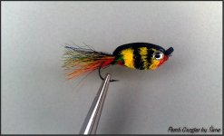 perch.jpg