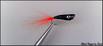 black popper.jpg
