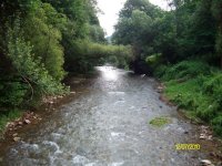 ALIM6243_resize.JPG