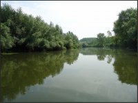 rukavac.jpg